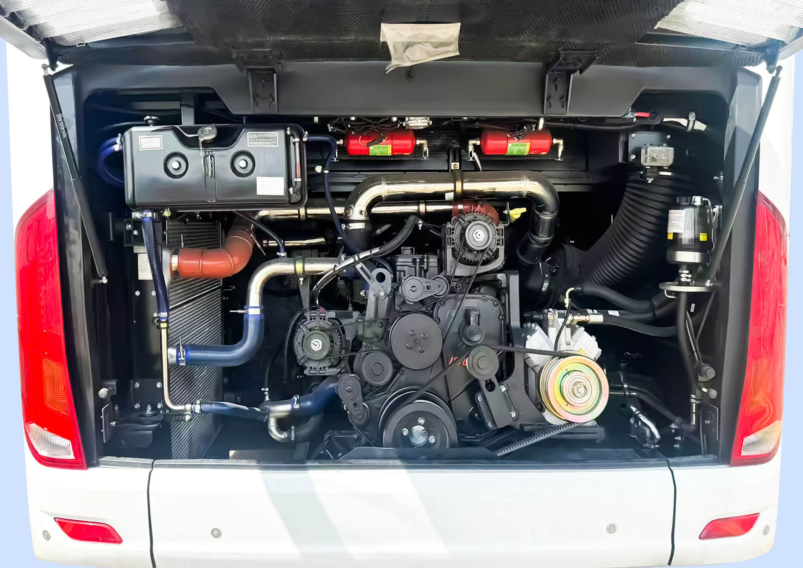 model highlights image 3